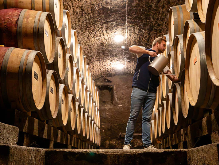The results of the Burgundy Selection 2026